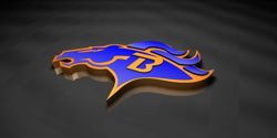 currently working on designing new 3d logo for the 2008 NAFL2 National Champions the Beaufort Broncos.